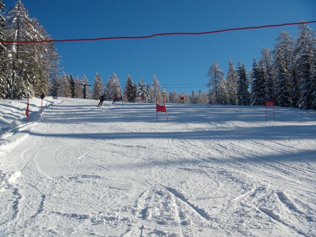 Una bellissima pista di discesa biancheggia sotto un azzurrissimo cielo, contornata da entrambi i lati da verdissimi alberi coperti da qualche spruzzo di neve.